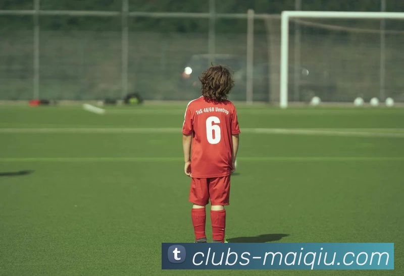 买球线上官方平台生态图